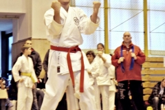 Velká cena Plzně v karate listopad 2011